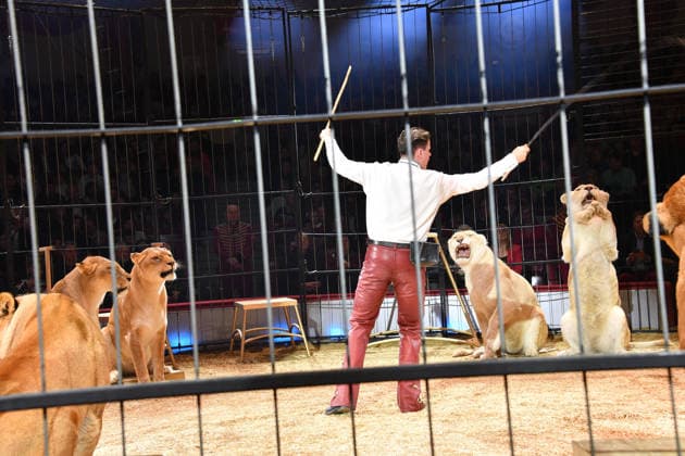 Alexis Lacey Show Premiere Winterspielzeit 2025 Circus Krone Ich. Du, Wir. Krone Manege Kronebau München 25. Dezember 2025