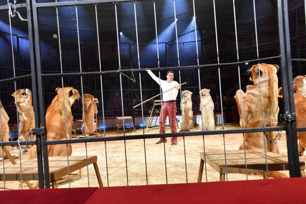 Alexis Lacey Show Premiere Winterspielzeit 2025 Circus Krone Ich. Du, Wir. Krone Manege Kronebau München 25. Dezember 2025