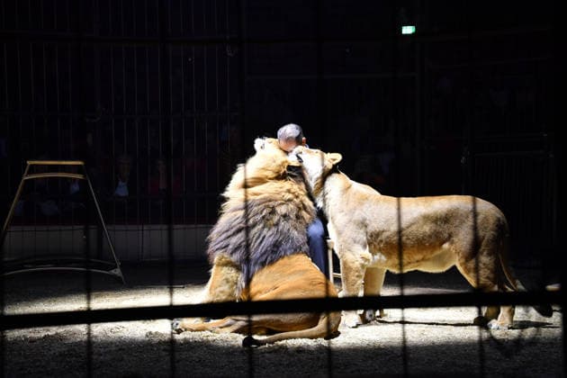 Martin Lacey jr. Show Premiere Winterspielzeit 2025 Circus Krone Ich. Du, Wir. Krone Manege Kronebau München 25. Dezember 2025