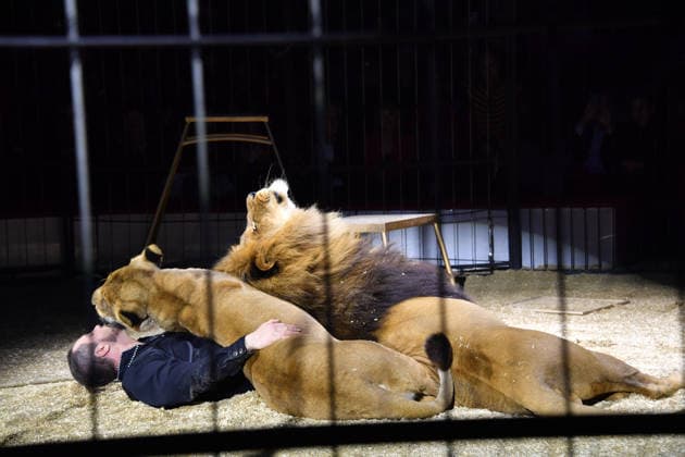Martin Lacey jr. Show Premiere Winterspielzeit 2025 Circus Krone Ich. Du, Wir. Krone Manege Kronebau München 25. Dezember 2025