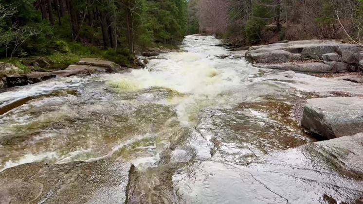 Creative Highlights World A Serene and Beautiful Stream Flowing Gently Through a Lush Forest in the Springtime A tranquil river flows over smooth rocks in a vibrant forest, showcasing natures splendor in spring, 96658836.jpg RECORD DATE NOT STATED