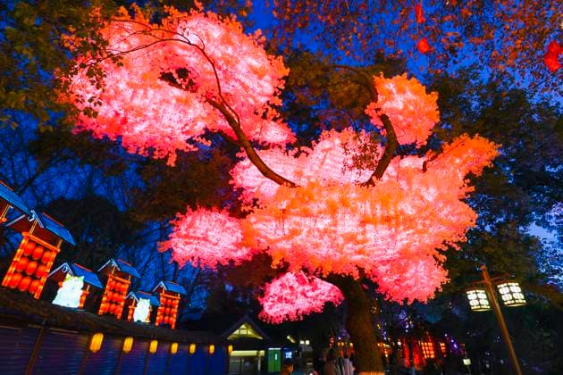 Festive Lantern Exhibited in Nanjing Tourists enjoy festive lanterns in Bailuzhou Park in Nanjing, Jiangsu Province, China on December 26, 2025. Nanjing Jiangsu China  Copyright: xCFOTOx i1766822427710