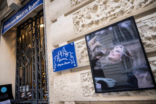 Flowers at Fondation Brigitte Bardot After Actress Death - Paris This picture shows the entrance of the Fondation Brigitte Bardot with a flowers set on the door following the death of French actress and animal rights activist Brigitte Bardot in Paris on December 28, 2025. Photo by Eliot Blondet ABACAPRES.COM Paris Ile-de-France France  Copyright: xBlondetxEliot ABACAx