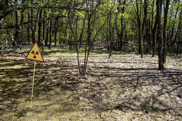 30th anniversary of Chernobyl nuclear disaster CHERNOBYL, UKRAINE - APRIL 27: A view from Chernobyl Exclusion Zone is seen during the 30th anniversary of Chernobyl nuclear disasterin Chernobyl, Ukraine on April 27, 2016. The Chernobyl accident occurred on 26 April 1986 at the Chernobyl Nuclear Power Plant in the city of Pripyat. Kiev Ukraine. Editorial use only. Please get in touch for any other usage.  Copyright: x2025xAnadoluxGökhanxBalcÄ±x