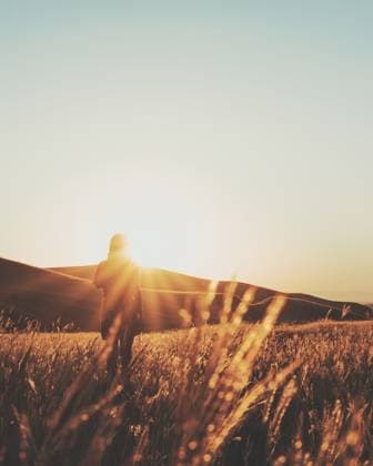 Filmische, hinterleuchtete Silhouette einer Frau im hohen Gras bei Sonnenuntergang, die Freiheit, Achtsamkeit, Hoffnung und Verbundenheit mit der Natur symbolisiert Cinematic Backlit silhouette of a woman in tall grass at sunset symbolizing freedom, mindfulness, hope, and connection with nature Copyright: imageBROKER EvaldasxMikoliunas ibxemi15174406.jpg ,model released, Symbolfoto ,property released