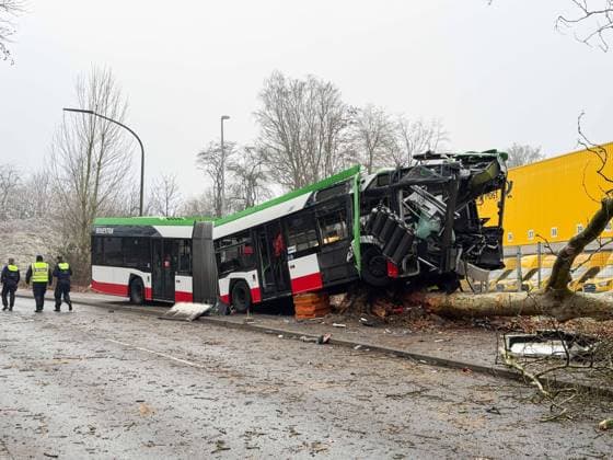 Linienbus kollidiert mit Baum in Gelsenkirchen Fahrer Schwerst eingeklemmt 7aIMG: 0541005 Linienbus kollidiert mit Baum in Gelsenkirchen Fahrer Schwerst eingeklemmtNordrhein-Westfalen, Gelsenkirchen *** Bus collides with tree in Gelsenkirchen Driver seriously trapped 7aIMG 0541005 Bus collides with tree in Gelsenkirchen Driver seriously trappedNorth Rhine-Westphalia, Gelsenkirchen Copyright: 7aktuell.dex xMarcxGruber 0541005 20251231_7a_express_20251231_2035_541005