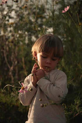 Young boy standing in field of wildflowers at sunset San Miguel de Allende, Guanajuato, Mexico CR_WDJM251230-1927343-01 ,model released, Symbolfoto