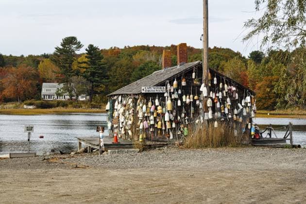 Zahlreiche Hummerbojen, Dekoration an ehemaliger Fischerhütte, Fischrestaurant, Spezialität Hummer, Ogunquit, Maine, Neuengland, USA Numerous lobster buoys, decoration at former fishing lodge, seafood restaurant, lobster specialty, Ogunquit, Maine, New England, USA Copyright: imageBROKER AngelaxtoxRoxel iblato16101344.jpg