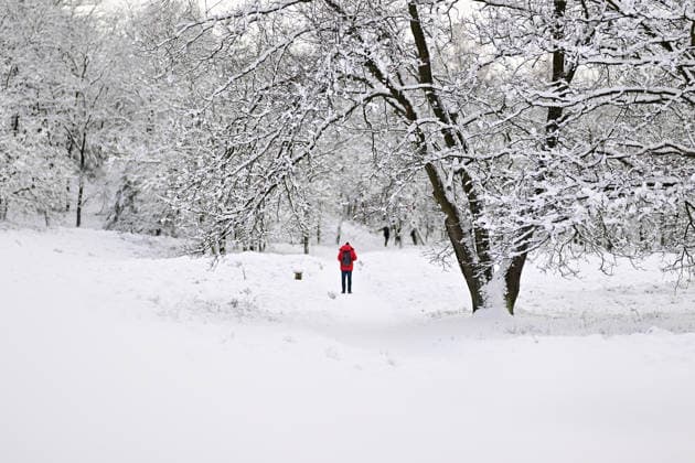 Stock- und Symbolbilder I 04.01.2026 Schnee und Wintereinbruch in Hamburg, Schneetreiben, Winter, Winterstimmung, Hamburg Hamburg Hamburg Deutschland *** Stock and symbolic images I 04 01 2026 Snow and onset of winter in Hamburg, snow drift, winter, winter mood, Hamburg Hamburg Hamburg Germany Copyright: xLobeca FelixxSchlikisx