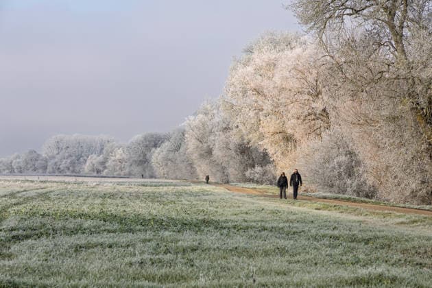Frost Scenery in Civray-de-Touraine - France France, Indre-et-Loire (37), Civray-de-Touraine, winter frost and hoarfrost on the foliage of vegetation lining the Cher cycle path, on January 4, 2026. Photo by Pascal Avenet ABACAPRESS.COM Civray-de-Touraine Indre-et-Loire (37) France  Copyright: xAvenetxPascal ABACAx