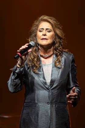 SaO PAULO, SP - 04.01.2026: SHOW DA CANTORA JOANNA - Singer Joanna performs in Sao Paulo in a special show celebrating her 45-year career. The singer and multi-instrumentalist pays homage in her performance to her favorite composers and icons of Brazilian popular music (MPB) such as Gonzaguinha, Chico Buarque, Guilherme Arantes, Moraes Moreira, among others. A success in soap operas and on radio throughout Brazil in recent years, the singer performed two shows at Sesc PompÃ ia in Sao Paulo. The final performance took place on the evening of Sunday, January 4, 2026. x2864587x  VanxCampos