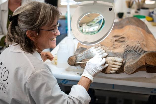 **NO WEB OR NEWSPAPERS ONLY FOR ITALY** Restoration of the Sarcophagus of the Etruscan Spouses at the National Etruscan Museum of Villa Giulia  Copyright: xRomax xipa-agency.netx xRomax IPA_Agency_IPA69712495