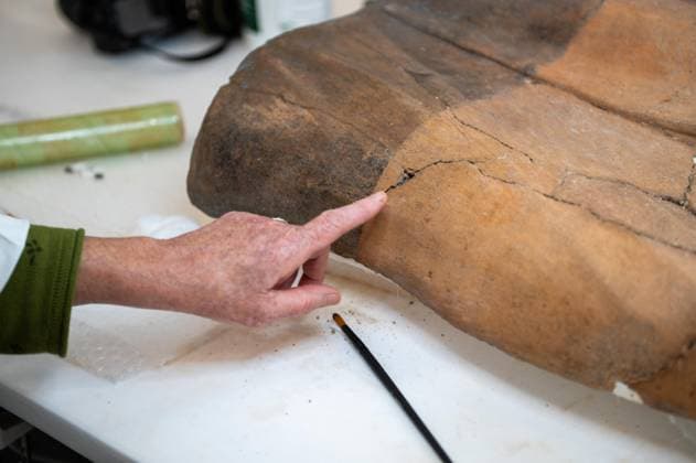 **NO WEB OR NEWSPAPERS ONLY FOR ITALY** Restoration of the Sarcophagus of the Etruscan Spouses at the National Etruscan Museum of Villa Giulia  Copyright: xRomax xipa-agency.netx xRomax IPA_Agency_IPA69712500