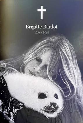 Funeral booklets for Brigitte Bardots funeral in the Parish Church of Notre Dame de lAssomption in Saint Tropez, France, January 7, 2026 Brigitte Bardot, an icon of French cinema and an international icon, died on December 28, 2025 at the age of 91 at her legendary estate in La Madrague, in Saint Tropez, France Revealed to the world through her role in Et DieuÖ créa la femme , she had helped make Saint Tropez a world-famous landmark The actress will be laid to rest on January 7, 2026 in the Saint Tropez marine cemetery, alongside her father Louis Bardot 1896 1975 and her mother Anne Marie Mucel 1912 1978 A religious ceremony will be held beforehand in the Saint Tropez church, where relatives, Bestimage Funeral booklets for the funeral of B Copyright: xAgencex xBestimagexAgencex xBestimagex