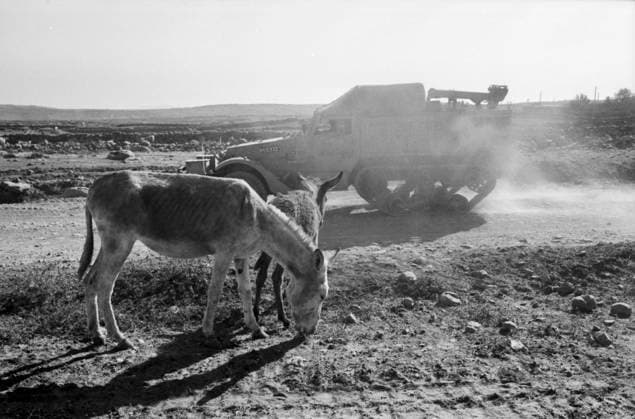 israelisches M3-Halftrack-Halbkettenfahrzeug fährt mit einer Staubwolke an zwei grasenden Eseln vorbei auf einer Versorgungsstraße der Golanhöhen während des Jom-Kippur-Krieges 1973. Golan-Höhen Syrien *** Israeli M3 Halftrack Half drives with a Cloud of dust to Two browsing Donkeys by at a Supply road the Golan Heights during of Jom KIPPUR War 1973 Golan Heights Syria Copyright: xUnitedxArchivesx xSvenxSimonxArchives SVS_94010002366
