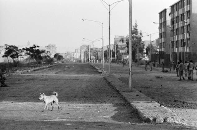 Straßenszene in Suez im Jahr 1973, aufgenommen während des Jom-Kippur-Krieges. Im Vordergrund läuft ein einzelner Hund über eine breite, staubige Straße. Rechts säumen mehrstöckige Wohnhäuser mit sichtbaren Kriegsschäden den Straßenrand, davor bewegen sich mehrere Soldaten und Zivilisten. Suez as-Suwais Ägypten *** Street scene in Suez at Year 1973, included during of Jom KIPPUR War at Foreground running a single Dog via a wide, dusty Street right border multi-storey Residential buildings with visible War damages the Roadside, before that move itself several Soldiers and Civilians Suez As Suwais Egypt Copyright: xUnitedxArchivesx xSvenxSimonxArchives SVS_94010002490