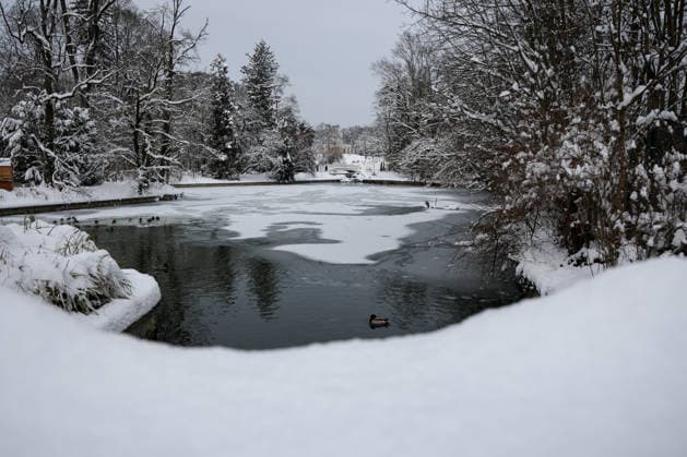 Winter at the Zagreb Zoo, Zagreb, Croatia Birds are seen on the frozen lake in a snow-covered Zagreb Zoo in Zagreb, Croatia on January 7, 2026.  IgorxKralj PIXSELL
