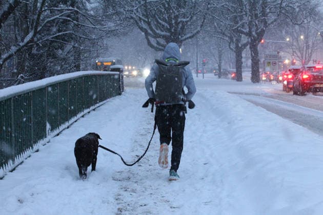 Schneetreiben am Donnerstagmorgen in Hamburg. Ein Mann joggt mit seinem Hund auf einem mit Schnee bedeckten Weg entlang. Barmbek Hamburg