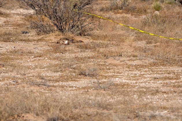 January 9, 2026: CIUDAD JUoÂREZ, Chihuahua, Mexico Ã¢â‚¬ January 9, 2025..Human remains in an advanced state of decomposition were found in a desert area on the outskirts of Ciudad JuoÂ¡rez following an anonymous call to emergency services. - ZUMAp241 20260109_zip_p241_013 Copyright: xDavidxPeinadox