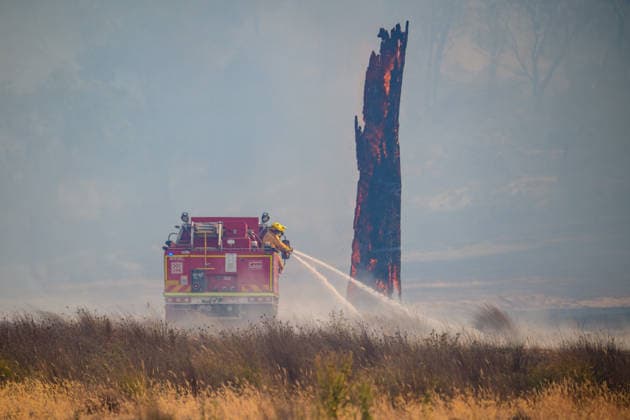 , A Country Fire Authority tanker crew hoses down a burning tree near Creightons Creek, Victoria, Saturday, January 10 2026. ( Creightons Creek Victoria Australia  Copyright: xMichaelxCurriex 20260111194401710149