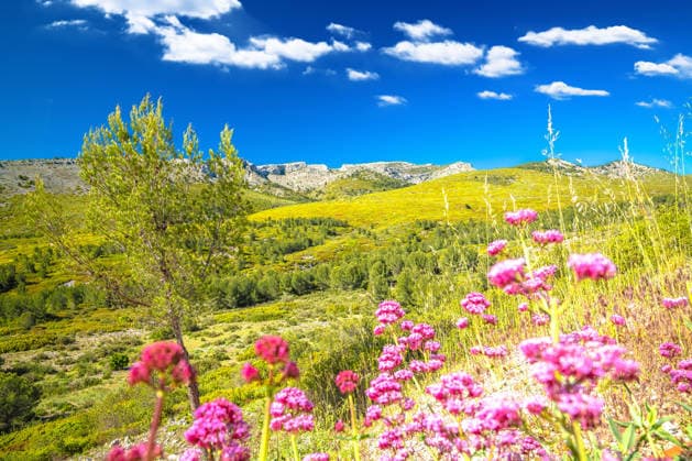 Mont Puget in der Nähe von Marseille mit Blick auf die Natur Mont Puget mountain near Marseille scenic nature view, southern France (License=RF) Copyright: xZoonar.com DaliborxBrlekx 24461119