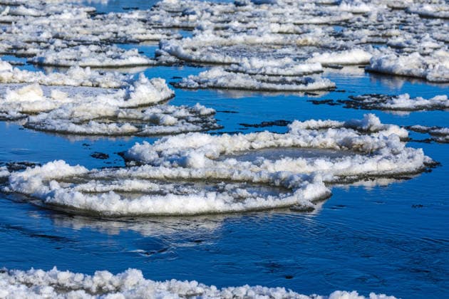 Creative Highlights World Winterwetter in Brandenburg - Brieger Gänse auf der Oder DEU Deutschland Brandenburg Ratzdorf, 11.01.2026, Winter an der Oder in Ratzdorf bei Neuzelle in der Naehe von Eisenhuettenstadt. Eisschollen, sogenannte Brieger Gaense, haben sich auf der Oder gebildet und treiben den Fluss hinab. *** Winter weather in Brandenburg Brieger Geese on the Oder DEU Germany Brandenburg Ratzdorf, 11 01 2026, Winter on the Oder in Ratzdorf near Neuzelle near Eisenhuettenstadt Ice floes, so-called Brieger Geese, have formed on the Oder and are drifting down the river AF_Ratzdorf_Oder_32437.jpeg