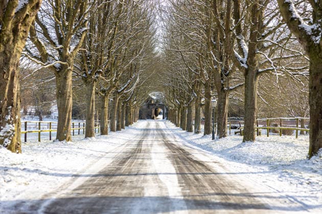 Winterlandschaft im Rheinland in Bonn Verschneite Allee auf dem Rodderberg südlich von Bonn. Der von Bäumen gesäumte Weg führt durch den Krater des ehemaligen Vulkans in Richtung Gut Broichhof. Schnee auf Fahrbahn und Ästen sowie das klare Winterlicht prägen die ruhige, ländliche Winterstimmung im Naturschutzgebiet. Wachtberg Niederbachem Nordrhein-Westfalen Deutschland Copyright: xMarcxJohnx