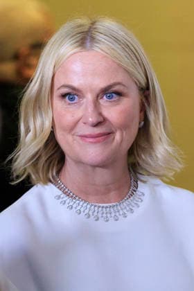 January 11, 2026, Beverly Hills, California, USA: Amy Poehler in the press room during the 83rd Annual Golden Globe Awards on Sunday, January 11, 2026, at the Beverly Hilton in Beverly Hills, California. ARIANA RUIZ BNS PI Beverly Hills USA - ZUMAp124 20260111_zaa_p124_294 Copyright: xArianaxRuizx