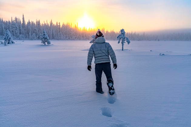 Hiker walking in the snowy forest at dawn Kuusamo, North Ostrobothnia, Finland CR_ROMO260111-1937157-01 ,model released, Symbolfoto