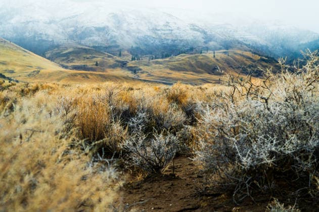 Creative Highlights World Oregon high desert with sagebrush and snow covered mountains Summer Lake, Oregon, United States R_JANERG260110-1929278-01