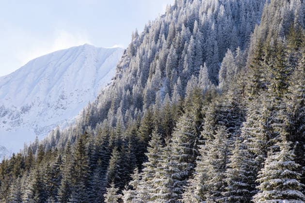 Creative Highlights World trekking in beautiful winter scenery F?g?ra?, Bra?ov, Romania R_NAMEDA260110-1935308-01