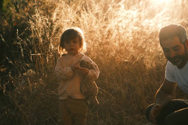 father and son outside in overgrown field at sunset San Miguel de Allende, Guanajuato, Mexico R_WDJM260111-1940844-01 ,model released, Symbolfoto