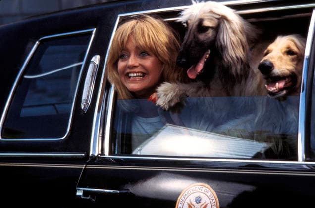 RECORD DATE NOT STATED Protocol Goldie Hawn EDITORIAL USE ONLY  Copyright: x