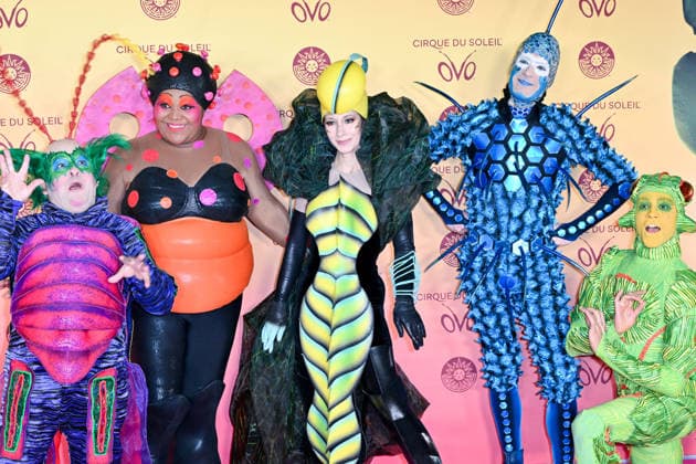 Premiere, Cirque du Soleil, Arrivals, London, UK. 14 January 2026. London, UK, 14 January 2026. Performers pose on the red carpet at the UK Premiere of the Cirque du Soleil production of OVO at the Royal Albert Hall, London, UK., Credit:Lee Floyd Avalon UK, London, Royal Albert Hall  Copyright: xLeexFloydx xAvalonx 1066141286