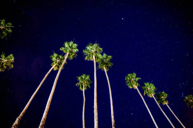 January 15, 2026, Santa Barbara, Ca, USA: Stars and Palm trees in Santa Barbara on January 15, 2025 Santa Barbara USA - ZUMAk144 20260115_znp_k144_002 Copyright: xAmyxKatzx