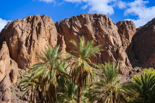 Desert landscape with tall palm trees and rugged rocky cliffs under a blue sky with clouds. Ouarzazate, Morocco Ouarzazate Morocco bial06461 Copyright: xConnectxImagesx