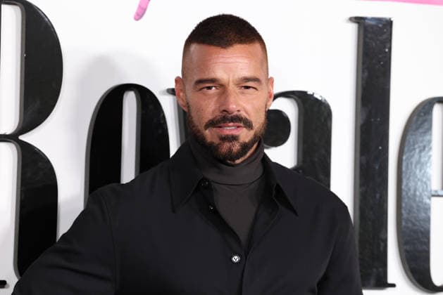 Apple TV+ s Palm Royale Season 2 Official Emmy FYC Event Ricky Martin at Apple TV+ s Palm Royale Season 2 Official Emmy FYC (For Your Consideration) Event held at the Wolf Theatre at the Saban Media Center at the Academy of Television Arts and Sciences on January 15, 2026 in North Hollywood, Los Angeles, California, United States., Credit:Xavier Collin Avalon USA, North Hollywood  Copyright: xXavierxCollinx xAvalonx 1066454006