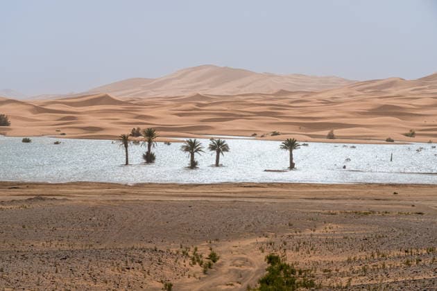 MR_ID25805_23642_OscarGonzalez.jpg, MR_ID25805_23643_HumbertoGoni.jpg A serene beauty of Lake Yasmina, nestled in Erg Chebbi, Morocco. This stunning oasis features shimmering waters and palm trees, surrounded by sweeping desert dunes. Model Released AddventurePhoto_ID25805_745300_009 Copyright: xAddventurexPhotox RECORD DATE NOT STATED