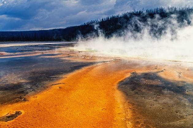 Orangefarbene mikrobielle Matte in einer heißen Quelle im Yellowstone-Nationalpark Orange microbial mat at a hot spring in Yellowstone (License=RF) Copyright: xZoonar.com Larsxjohanssonx 24488342