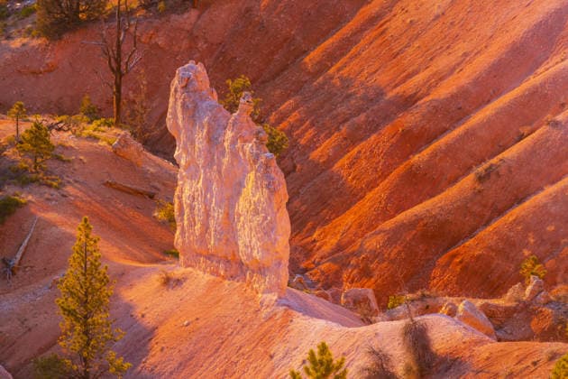Creative Highlights World Malerische bunte rosa Felsen des Bryce Canyon Nationalparks in der Wintersaison, Utah, USA Picturesque colorful pink rocks of the Bryce Canyon National park in the winter season, Utah, USA (License=RF) Copyright: xZoonar.com GalynaxAndrushkox 24496974