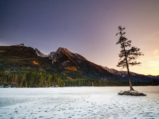 Felsinsel mit Baum im gefrorenen Hintersee, auf den Eis Fußspuren, Abendlicht, hinten das Hochkaltermassiv, Nationalpark Berchtesgaden, Ramsau, Berchtesgadener Land, Oberbayern, Bayern, Deutschland Rock island with tree in frozen Hintersee, footprints on the ice, evening light, Hochkalter massif in the background, Berchtesgaden National Park, Ramsau, Berchtesgadener Land, Upper Bavaria, Bavaria, Germany Copyright: imageBROKER HerbertxBerger ibxheb16355163.jpg