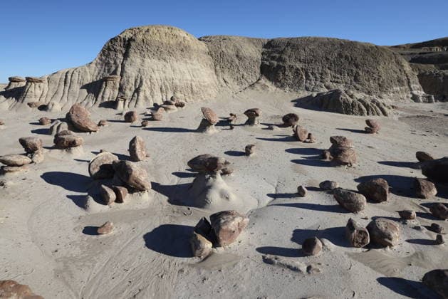 Bisti badlands, De-na-zin wilderness area, New Mexico *** Bisti badlands, de Na zin Wilderness area, New Mexico 1136100014