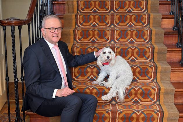 News Bilder des Tages 2026 AUSTRALIAN OF THE YEAR AWARDS MORNING TEA, Prime Minister Anthony Albanese and his dog Toto wait to greet the 2026 Australians of the Year finalists during a morning tea at the Lodge in Canberra, Sunday, January 25, 2026. ( NO ARCHIVING CANBERRA AUSTRALIAN CAPITAL TERRITORY AUSTRALIA  Copyright: xMICKxTSIKASx 20260125154833340062