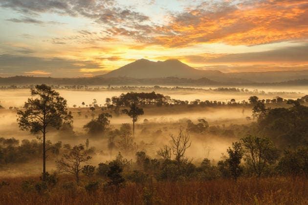 mountain peaks in morning fog - foggy morning over thailand moun Khek Noi, Phetchabun, Thailand CR_SSBW260121A-1948735-01