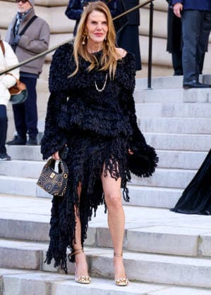 Anna Dello Russo Celebrity arrivals at the Schiaparelli Collection Haute Couture Printemps Eté 2026 show as part of Paris Fashion Week PFW , at the Petit Palais in Paris, France, January 26, 2026 Denis Guignebourg Bestimage Arrivals Schiaparelli Haute Couture Week Spring Summer 2026 show as part of Paris Fashion Week on January 26, 2026 in Paris, France Paris France  Copyright: xDenisxGuignebourgx xBestimagexDenisxGuignebourgx xBestimagex