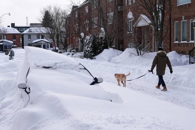 Aftermath of the Snowstorm in Toronto TORONTO, CANADA - JANUARY 26 : A man walks his dog next to parked cars buried in snow after a heavy snowfall in Toronto, Ontario, Canada on January 26, 2026. Mert Alper Dervis Anadolu Ontario Canada. Editorial use only. Please get in touch for any other usage.  Copyright: x2026xAnadoluxMertxAlperxDervisx