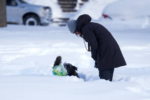 Aftermath of the Snowstorm in Toronto TORONTO, CANADA - JANUARY 26 : A woman walks with her dog after a heavy snowfall in Toronto, Ontario, Canada on January 26, 2026. Mert Alper Dervis Anadolu Ontario Canada. Editorial use only. Please get in touch for any other usage.  Copyright: x2026xAnadoluxMertxAlperxDervisx