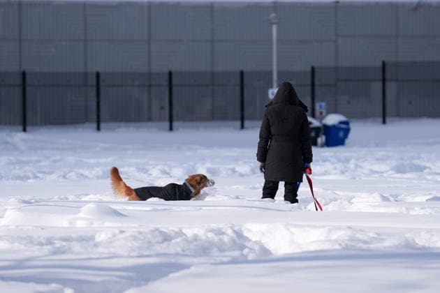 Aftermath of the Snowstorm in Toronto TORONTO, CANADA - JANUARY 26 : A woman walks with her dog after a heavy snowfall in Toronto, Ontario, Canada on January 26, 2026. Mert Alper Dervis Anadolu Ontario Canada. Editorial use only. Please get in touch for any other usage.  Copyright: x2026xAnadoluxMertxAlperxDervisx