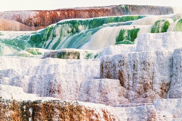 Farbenfrohe natürliche Terrassenformationen einer heißen Quelle in den Mammoth Hot Springs im Yellowstone-Nationalpark Colourful natural terrace formations a hot spring at Mammoth hot springs in Yellowstone (License=RF) Copyright: xZoonar.com Larsxjohanssonx 24510007
