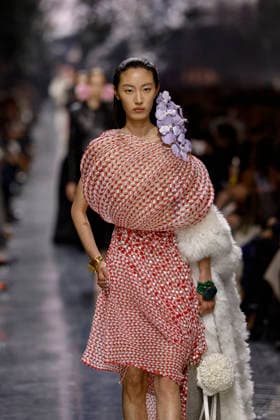 Christian Dior Womens Ready to Wear Spring Summer 2026 Fashion Show during Paris Fashion Week PFW on January 26, 2026 Christian Dior Womens Ready to Wear Spring Summer 2026 Fashion Show during Paris Fashion Week PFW on January 26, 2026 Paris France  Copyright: xAgencex xBestimagexAgencex xBestimagex